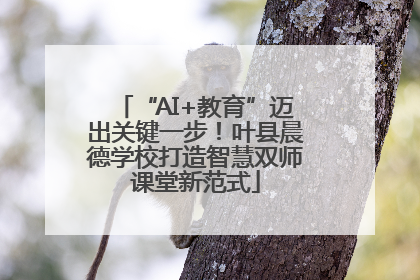 “AI+教育”迈出关键一步！叶县晨德学校打造智慧双师课堂新范式