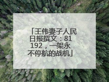 王伟妻子人民日报撰文：81192，一架永不停航的战机