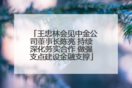 王忠林会见中金公司董事长陈亮 持续深化务实合作 做强支点建设金融支撑