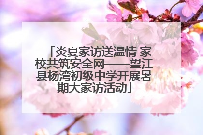 炎夏家访送温情 家校共筑安全网——望江县杨湾初级中学开展暑期大家访活动