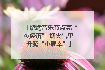 烧烤音乐节点亮“夜经济” 烟火气里升腾“小确幸”