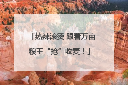 热辣滚烫 跟着万亩粮王“抢”收麦！