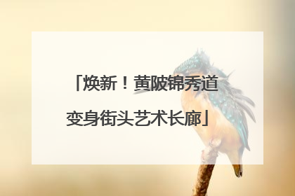 焕新！黄陂锦秀道变身街头艺术长廊