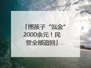 熊孩子“氪金”2000余元！民警全额追回