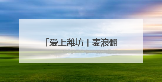 爱上潍坊丨麦浪翻涌里写满丰收故事