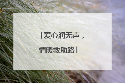 爱心润无声，情暖救助路