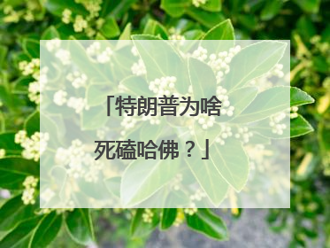 特朗普为啥死磕哈佛？