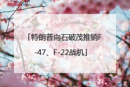 特朗普向石破茂推销F-47、F-22战机