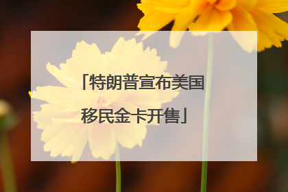 特朗普宣布美国移民金卡开售