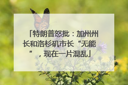 特朗普怒批：加州州长和洛杉矶市长“无能”，现在一片混乱