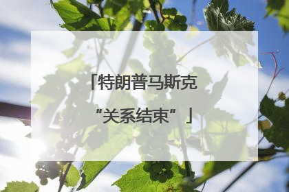 特朗普马斯克“关系结束”