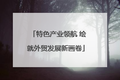 特色产业领航 绘就外贸发展新画卷