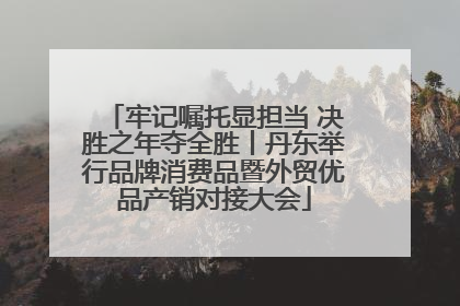牢记嘱托显担当 决胜之年夺全胜丨丹东举行品牌消费品暨外贸优品产销对接大会