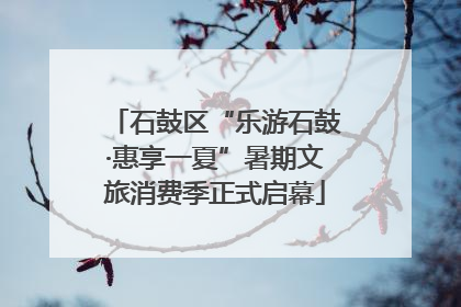 石鼓区“乐游石鼓·惠享一夏”暑期文旅消费季正式启幕