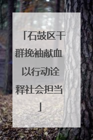 石鼓区干群挽袖献血 以行动诠释社会担当