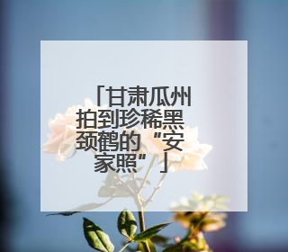 甘肃瓜州拍到珍稀黑颈鹤的“安家照”