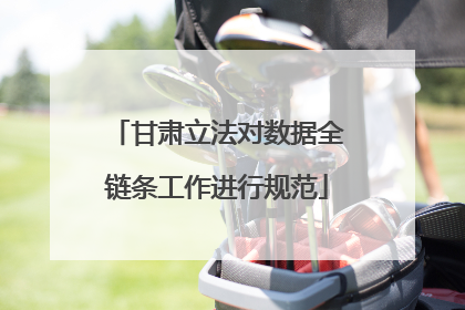 甘肃立法对数据全链条工作进行规范