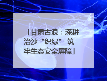 甘肃古浪：深耕治沙“织绿” 筑牢生态安全屏障