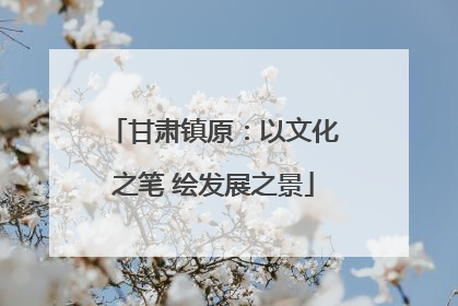 甘肃镇原：以文化之笔 绘发展之景