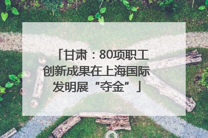 甘肃：80项职工创新成果在上海国际发明展“夺金”