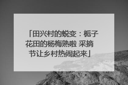 田兴村的蜕变：栀子花田的杨梅熟啦 采摘节让乡村热闹起来