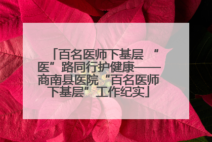百名医师下基层 “医”路同行护健康——商南县医院“百名医师下基层”工作纪实