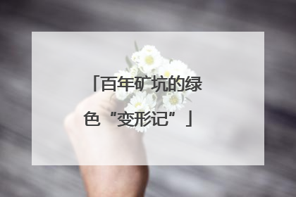 百年矿坑的绿色“变形记”