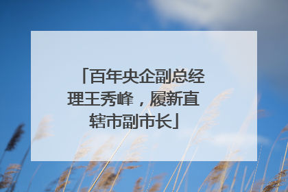 百年央企副总经理王秀峰，履新直辖市副市长