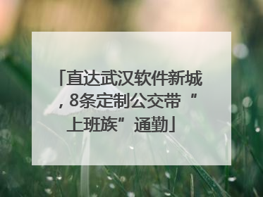直达武汉软件新城，8条定制公交带“上班族”通勤