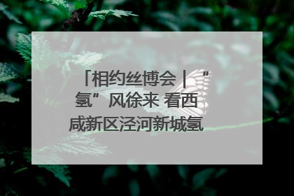 相约丝博会｜“氢”风徐来 看西咸新区泾河新城氢能产业聚链成势
