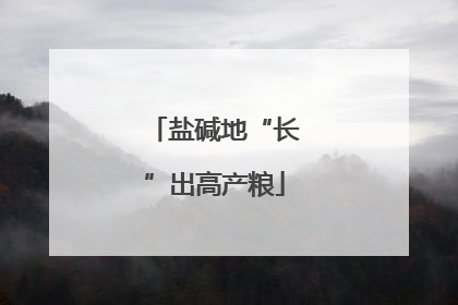 盐碱地“长”出高产粮