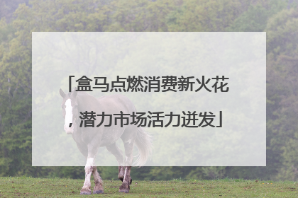 盒马点燃消费新火花，潜力市场活力迸发