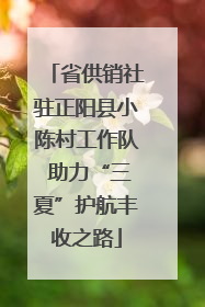 省供销社驻正阳县小陈村工作队 助力“三夏”护航丰收之路