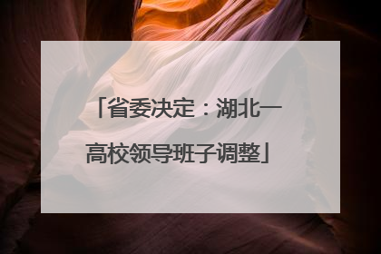 省委决定：湖北一高校领导班子调整