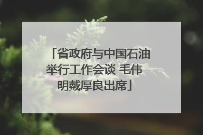 省政府与中国石油举行工作会谈 毛伟明戴厚良出席