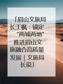 眉山文旅局长王枫：锚定“两城两地” 推进眉山文旅融合高质量发展｜文旅局长说