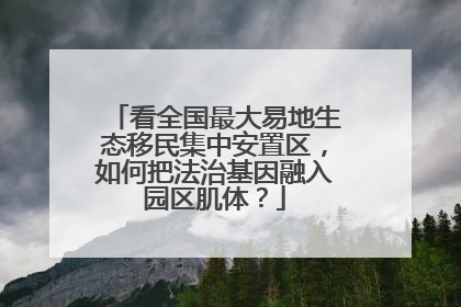 看全国最大易地生态移民集中安置区，如何把法治基因融入园区肌体？