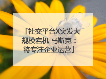 社交平台X突发大规模宕机 马斯克：将专注企业运营