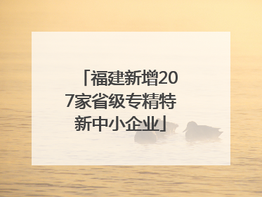 福建新增207家省级专精特新中小企业