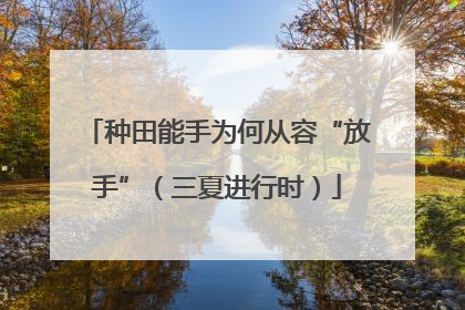 种田能手为何从容“放手”（三夏进行时）
