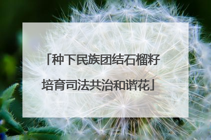种下民族团结石榴籽 培育司法共治和谐花