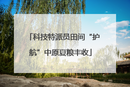 科技特派员田间“护航”中原夏粮丰收