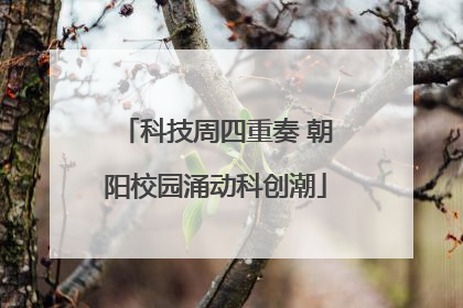 科技周四重奏 朝阳校园涌动科创潮