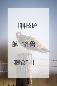 科技护航“齐鲁粮仓”
