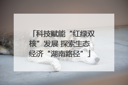 科技赋能“红绿双核”发展 探索生态经济“湖南路径”
