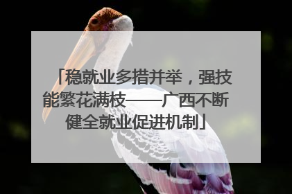 稳就业多措并举，强技能繁花满枝——广西不断健全就业促进机制