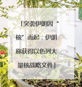 突袭伊朗因“核”而起：伊朗称获得以色列大量核战略文件