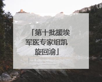 第十批援埃军医专家组凯旋回渝