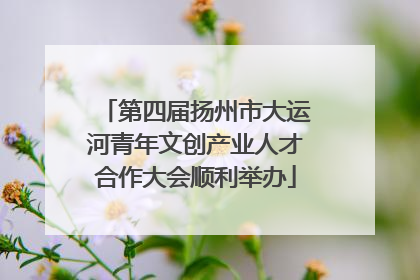 第四届扬州市大运河青年文创产业人才合作大会顺利举办