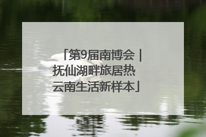 第9届南博会｜抚仙湖畔旅居热 云南生活新样本